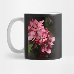 Crab Apple Blossoms Mug